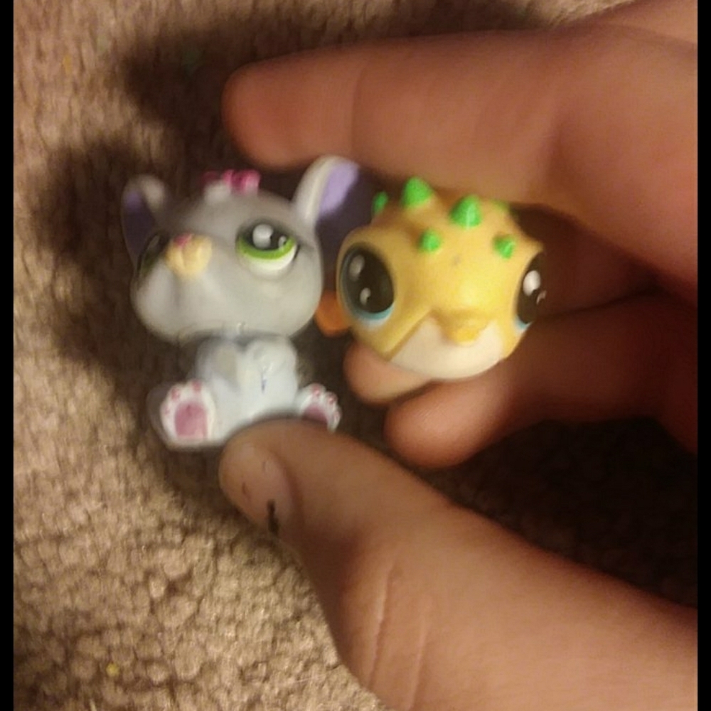 Theyre a bundle and the mouse is rare